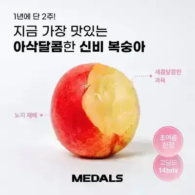 기존 소재