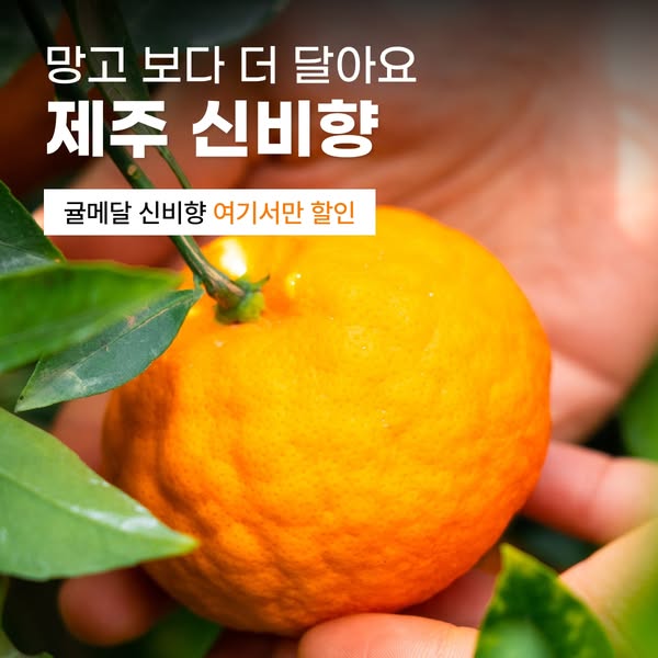 귤메달 광고 소재 1
